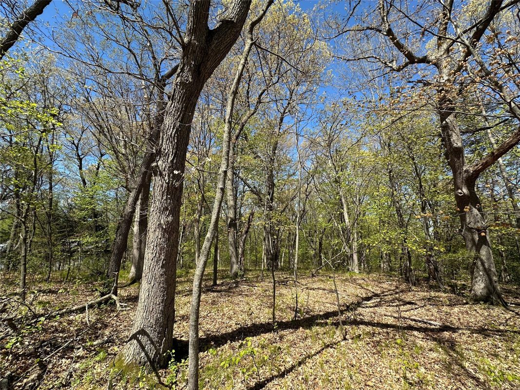 1438 Pleasant Hill Road, Eau Claire WI 54703 - Land house for sale - MLS #1602766 - image28