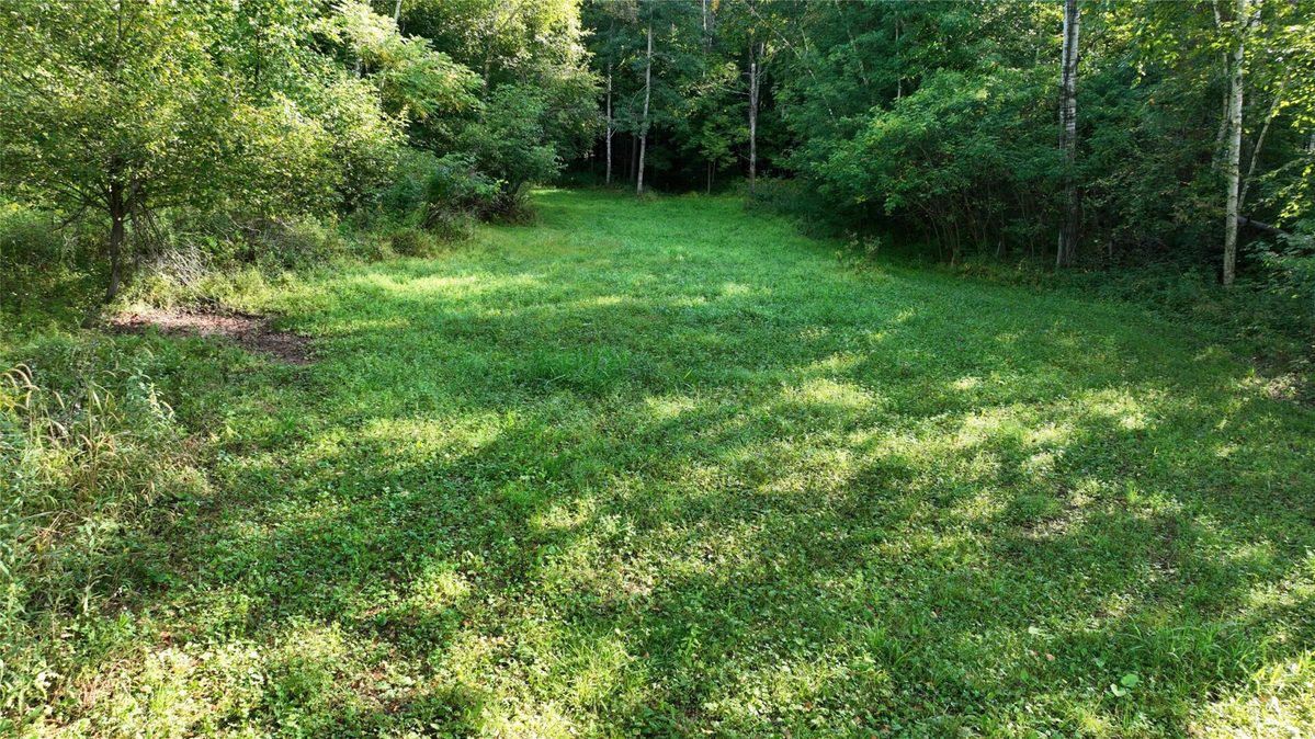 XX County Rd O, Boyceville WI 54725 - Land house for sale - MLS #1604881 - image15