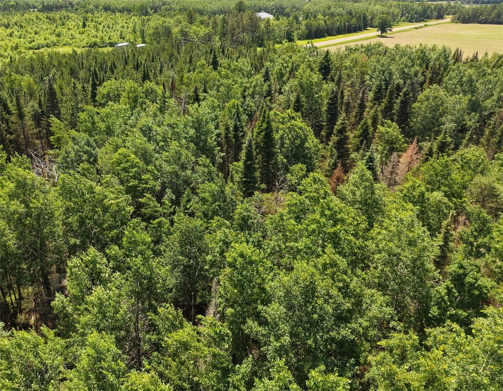 Lot 4 Main Road, Springbrook WI 54875 - Land house for sale - MLS #1602445 - image7