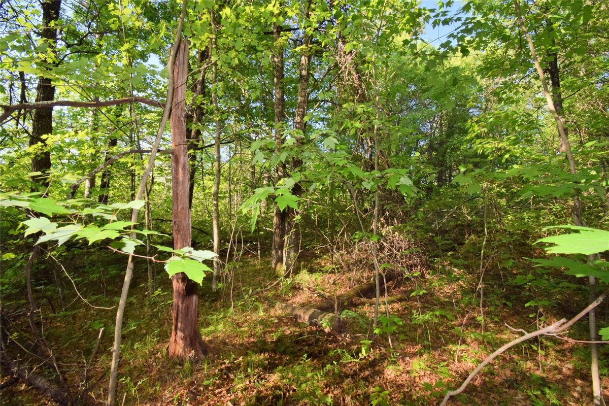 Lot 31 Setting Sun Trail Way, Danbury WI 54830 - Land house for sale - MLS #1601782 - image15