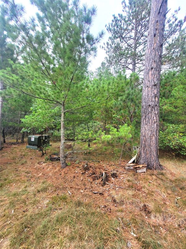 0 Blueberry Rd, Gordon WI 54838 - Land house for sale - MLS #1604990 - image29