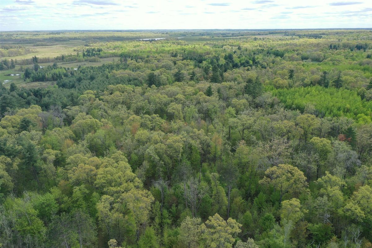 25275 Bruss Road, Webster WI 54893 - Land house for sale - MLS #1602158 - image33