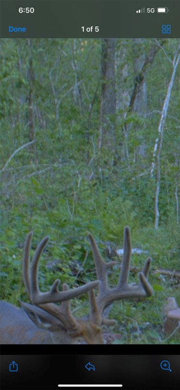 0 County Highway C, Rice Lake WI 54868 - Land house for sale - MLS #1605929 - image19