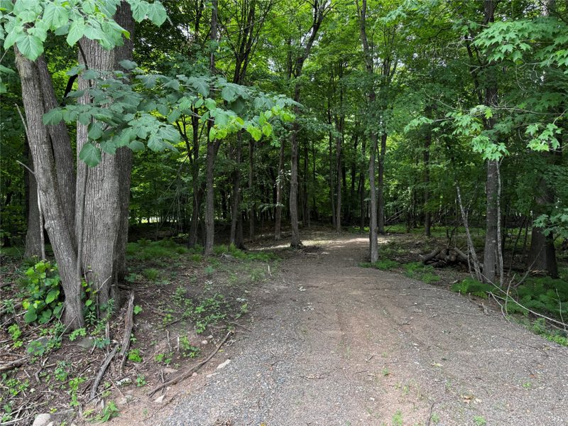 XXX County Road I 