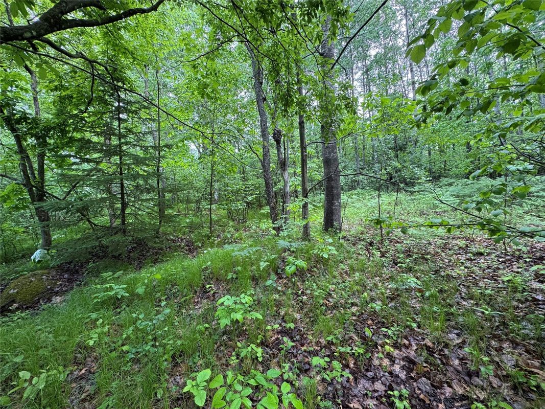 000 Boundary Road, Ringle WI 54471 - Land house for sale - MLS #1602183 - image7