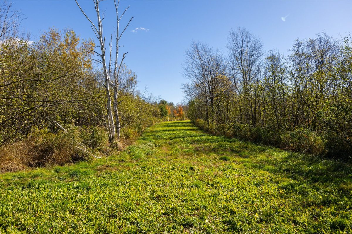 W2621 Goetzke Road, Prentice WI 54556 - Land house for sale - MLS #1605822 - image21