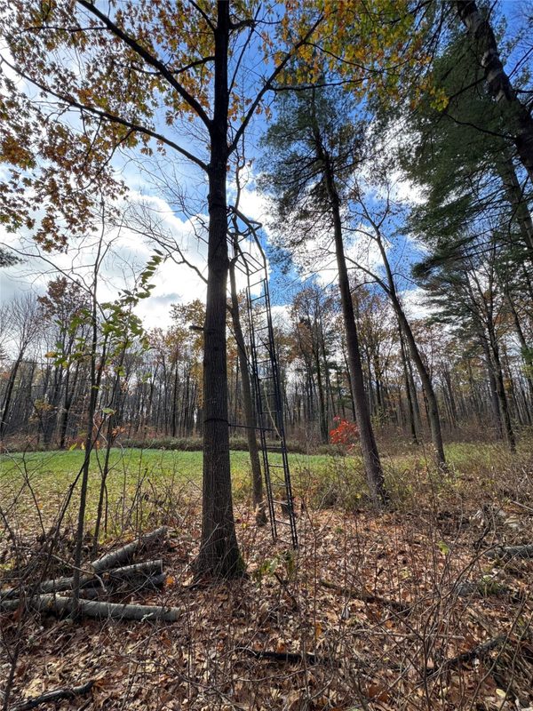 208220 Kane Lane, Mosinee WI 54455 - Land house for sale - MLS #1606074 - image7