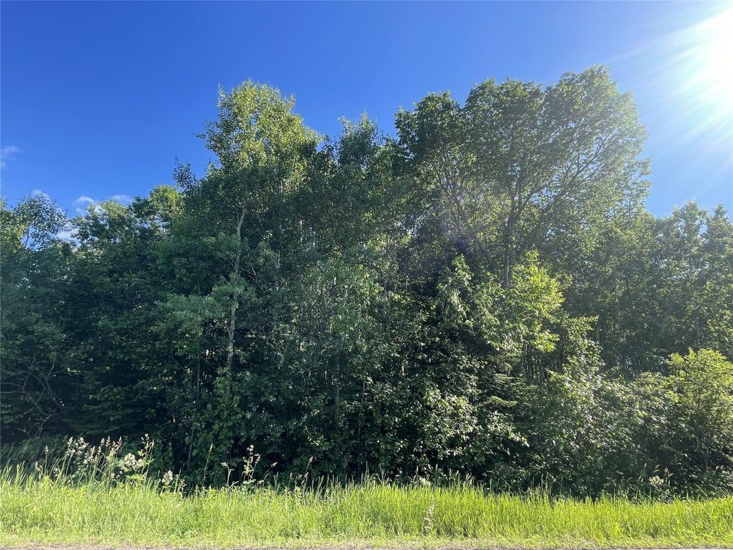 39+/- A on County Highway E, Iron Belt WI 54536 - Land house for sale - MLS #1602959 - image7