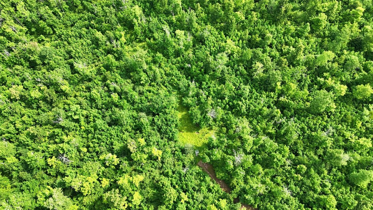 XXX Eckel Lane, Couderay WI 54835 - Land house for sale - MLS #1603143 - image29