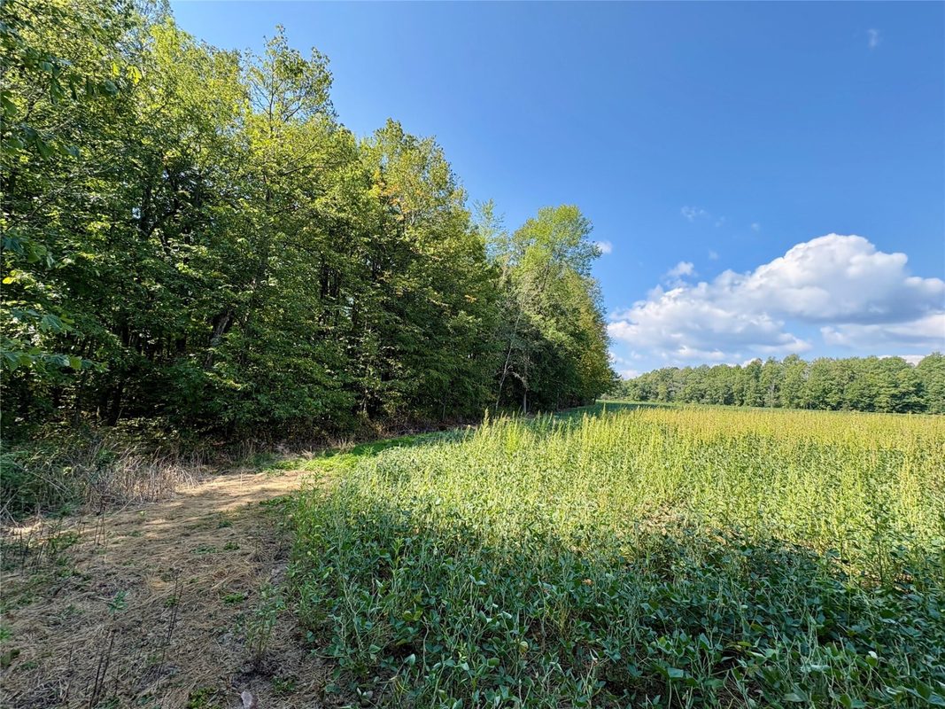 W16860 Cty Rd D, Sheldon WI 54766 - Land house for sale - MLS #1604631 - image35