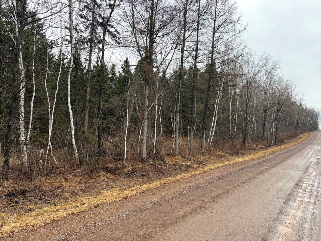 ON Sheep Camp Road Ladysmith WI 54848 — photo 2