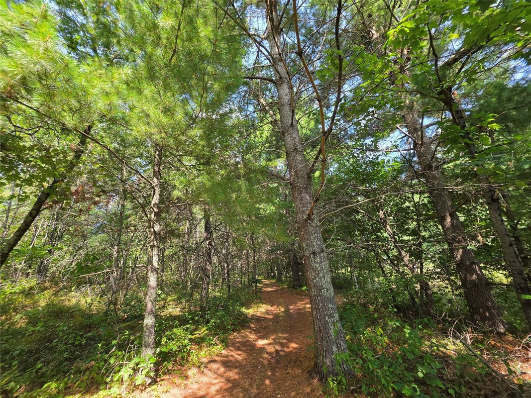 3307 State Road 77, Danbury WI 54830 - Residential house for sale - MLS #1602613 - image56
