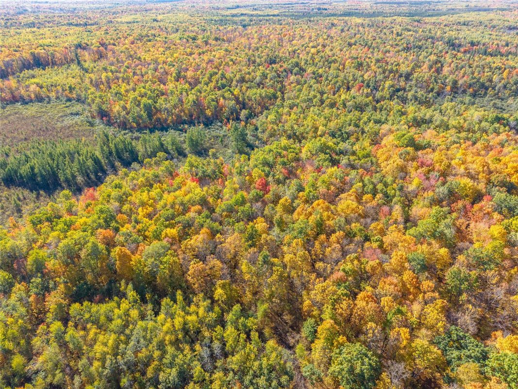 5 Acres Aggie Lane, Ladysmith WI 54848 - Land house for sale - MLS #1605699 - image14