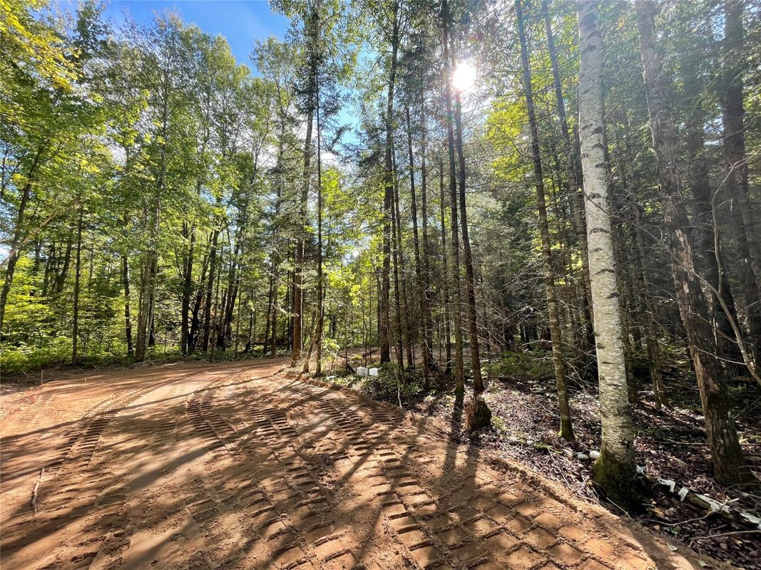 Lot 2 Fadness Road, Winter WI 54896 - Land house for sale - MLS #1605242 - image6