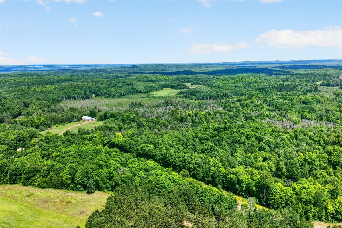 52900 County Highway D, grand view WI 54839 - Land house for sale - MLS #1597599 - image11