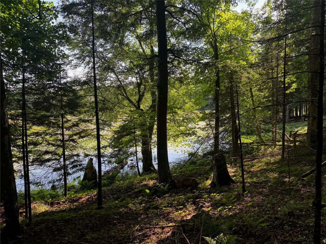 Lot 8 Crane Lane, Hayward WI 54843 - Land house for sale - MLS #1603375 - image26