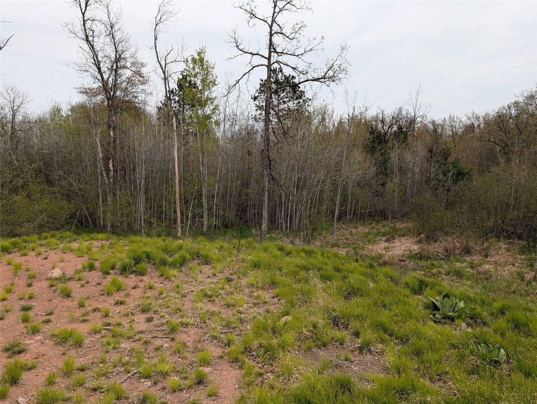 15573 Highway 64, Bloomer WI 54724 - Land house for sale - MLS #1601231 - image6
