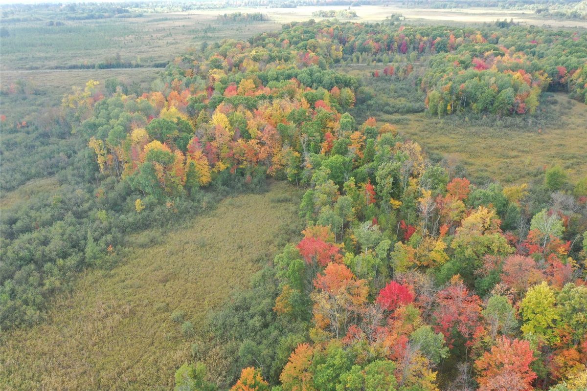 0 Klarquist Road, Webster WI 54840 - Land house for sale - MLS #1605651 - image15