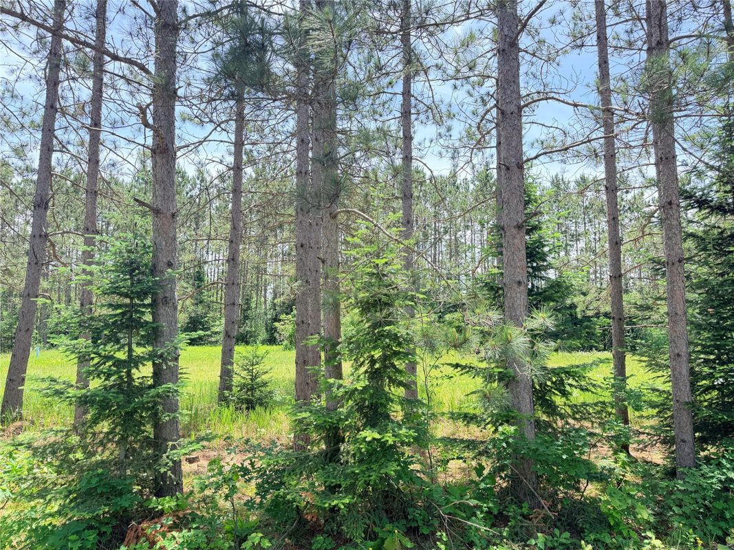W11097 Boat Landing Road, Ladysmith WI 54848 - Land house for sale - MLS #1605411 - image6