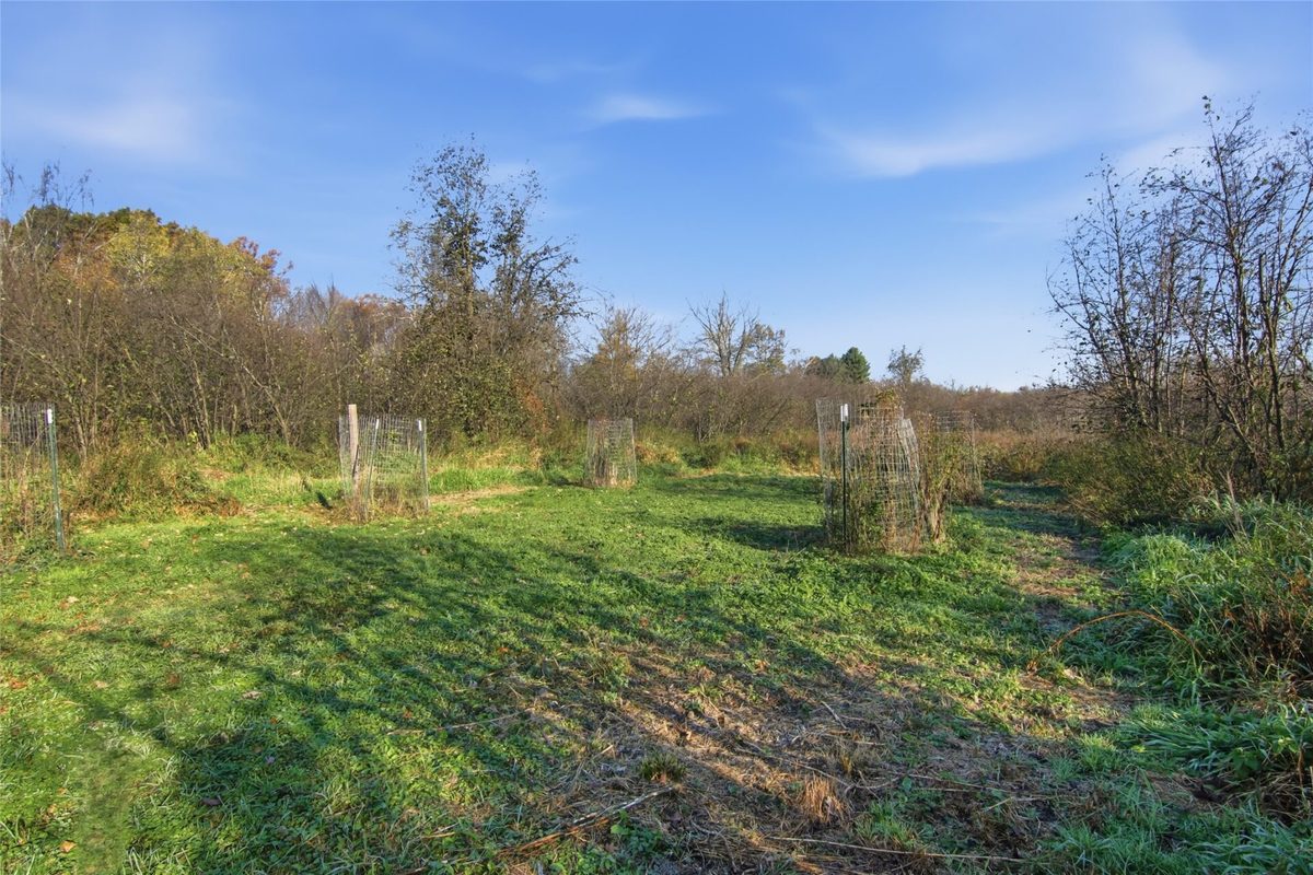 E1995 950th Avenue, Boyceville WI 54725 - Land house for sale - MLS #1606129 - image15