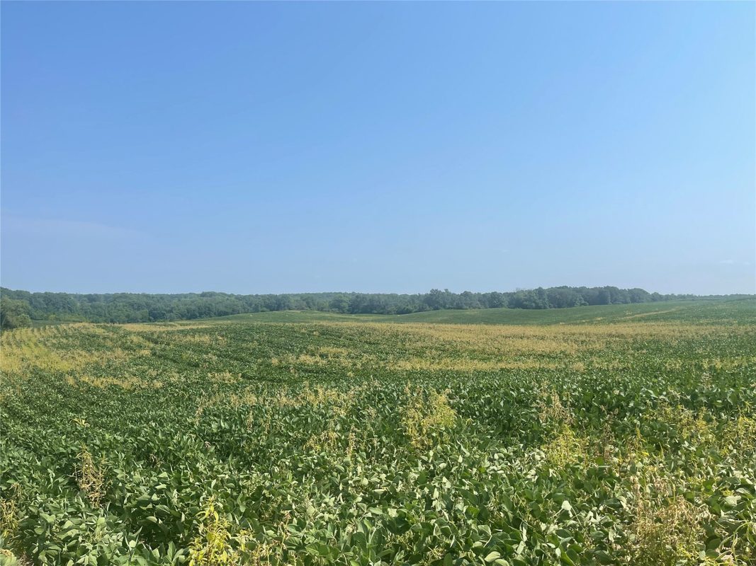 XXXX 190th Street, Centuria WI 54824 - Land house for sale - MLS #1605124 - image9