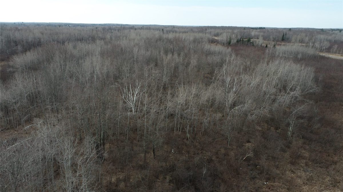 8431 W Hogsback Road Exeland WI 54835 — photo 25