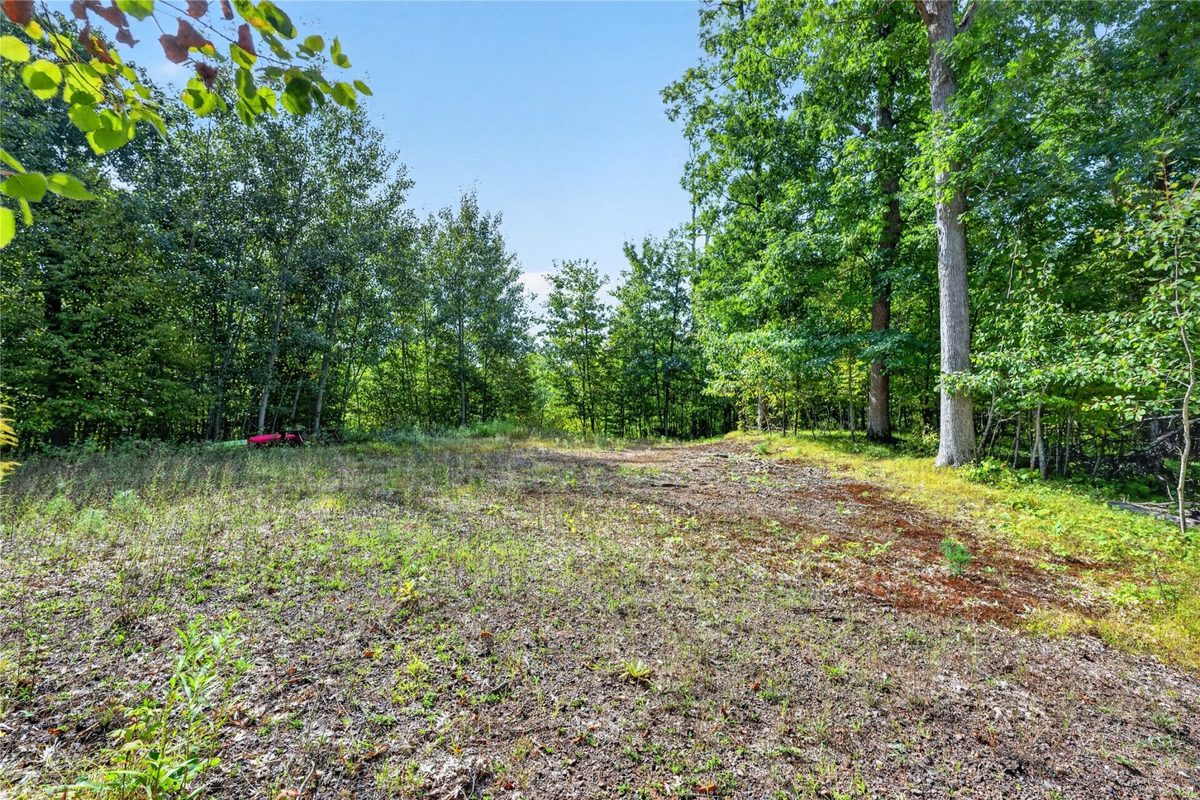 7183 Fremsted Road, Danbury WI 54830 - Land house for sale - MLS #1604943 - image5