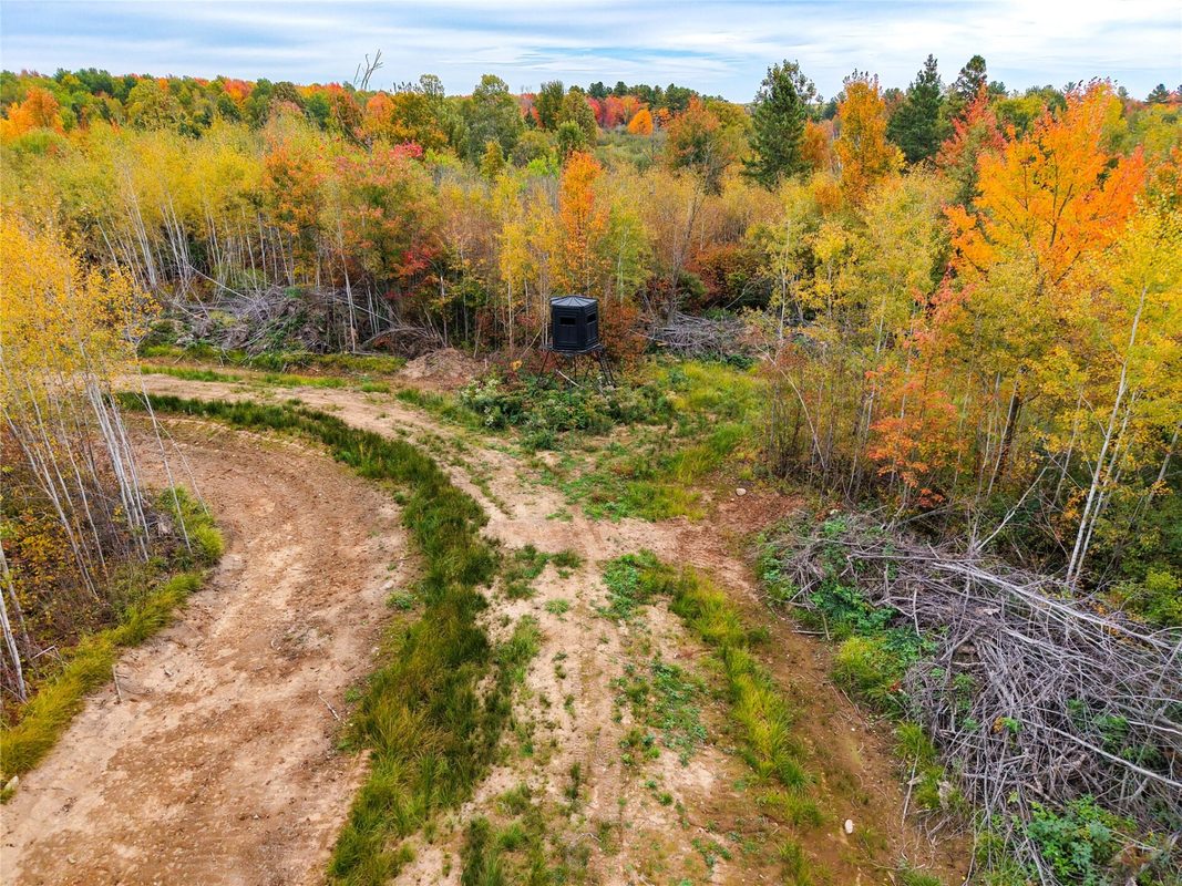 0000 County Road I, Ogema WI 54459 - Land house for sale - MLS #1605613 - image19