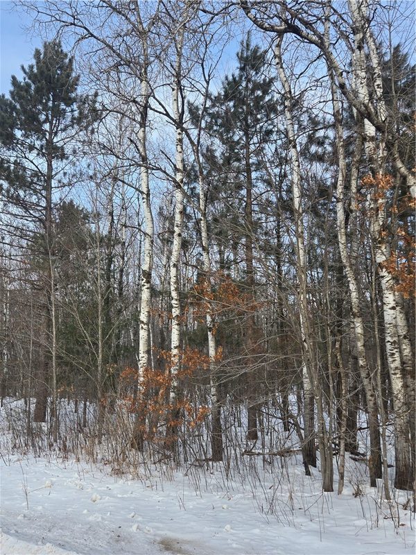 000 County Hwy G, Holcombe, WI — photo 2