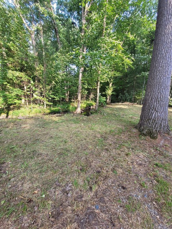 N900 Resewood Avenue, Neillsville WI 54456 - Land house for sale - MLS #1597245 - image49