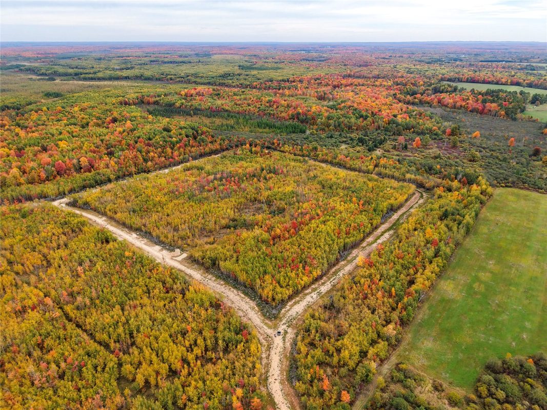 0000 County Road I, Ogema WI 54459 - Land house for sale - MLS #1605613 - image7