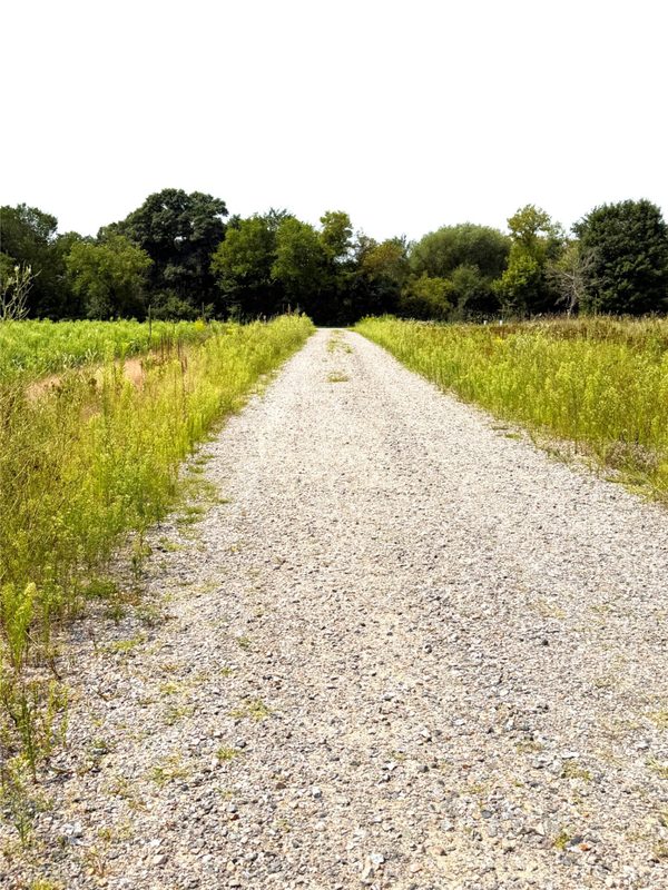 13.81 acres Van Tassel Road, Osseo WI 54758 - CommercialSale house for sale - MLS #1604127 - image14