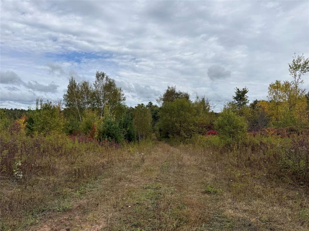 XXX 23 1/2 Street, Rice Lake WI 54868 - Land house for sale - MLS #1605312 - image24