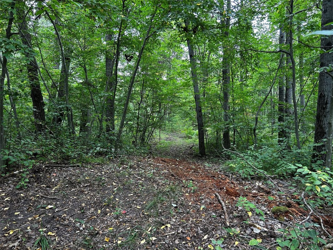 Lots 5 & 6 State Highway 70, Spooner WI 54801 - Land house for sale - MLS #1604806 - image31