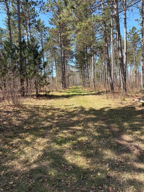 TBD AA Mann Road, Spooner WI 54801 - Land house for sale - MLS #1602850 - image3