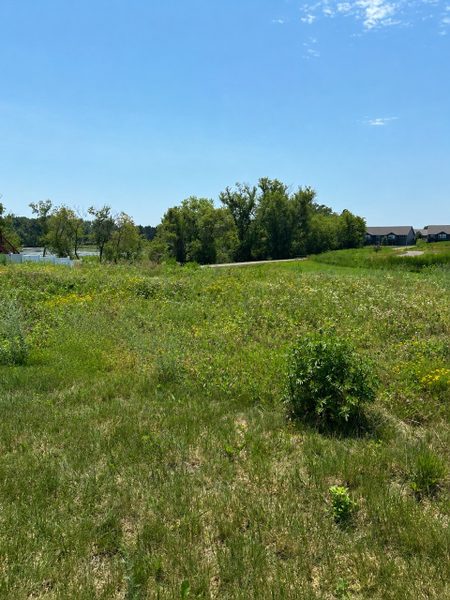 582 (Lot 3) Venus Lane