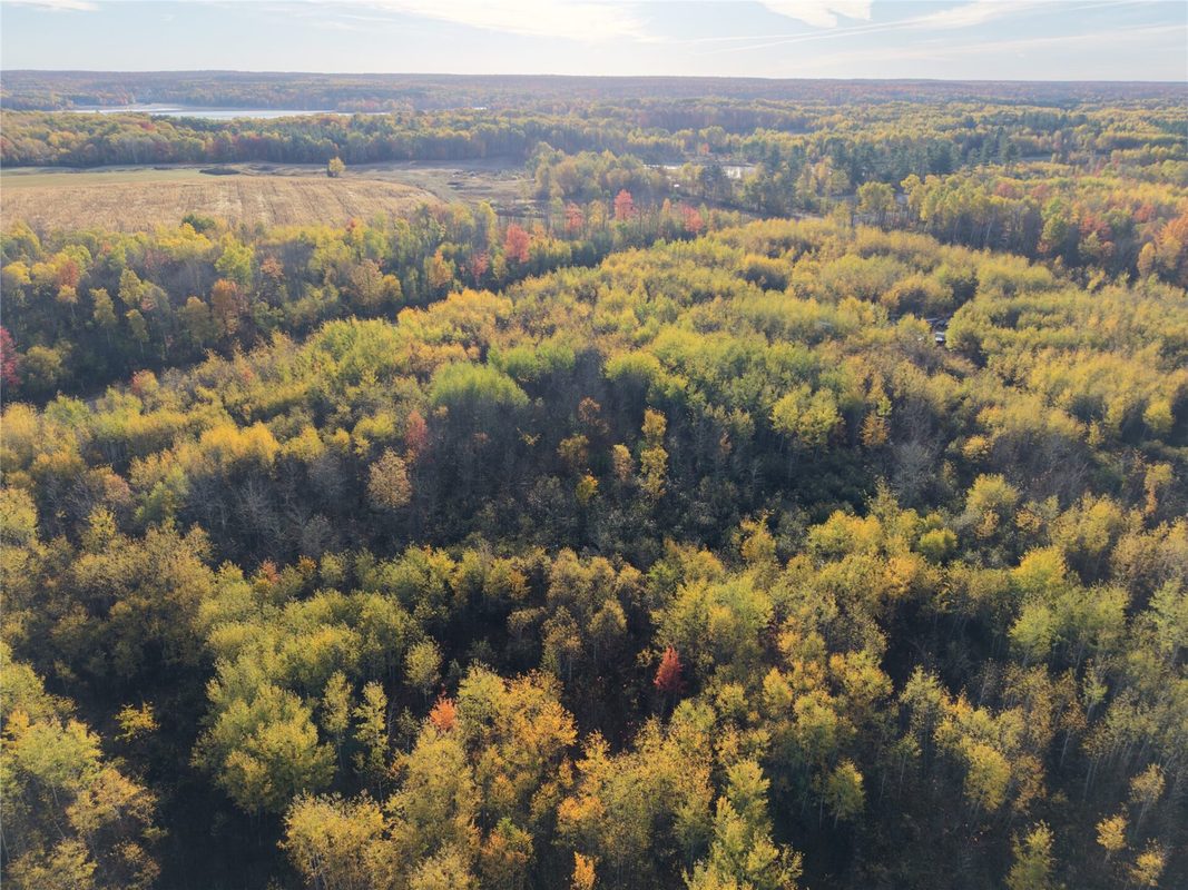 On County Highway W, Winter WI 54896 - Land house for sale - MLS #1605419 - image22