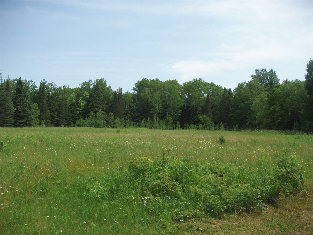 2460N County Highway FF, Butternut WI 54514 - Residential house for sale - MLS #1602950 - image8