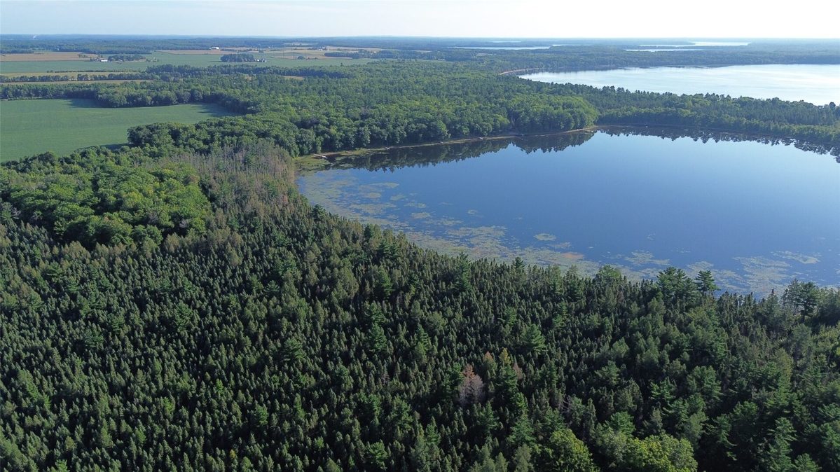 0000 Sand Lake Road, Stone Lake WI 54876 - Land house for sale - MLS #1604299 - image4