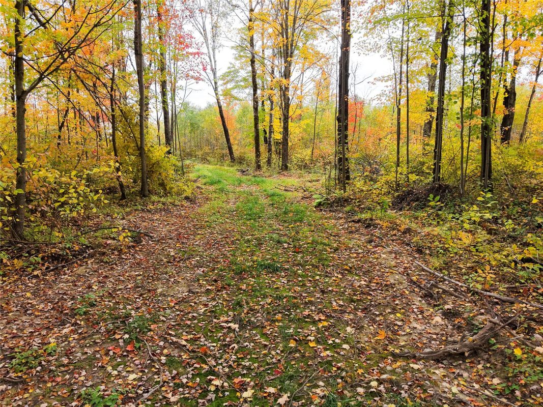 0000 County Road I, Ogema WI 54459 - Land house for sale - MLS #1605613 - image17