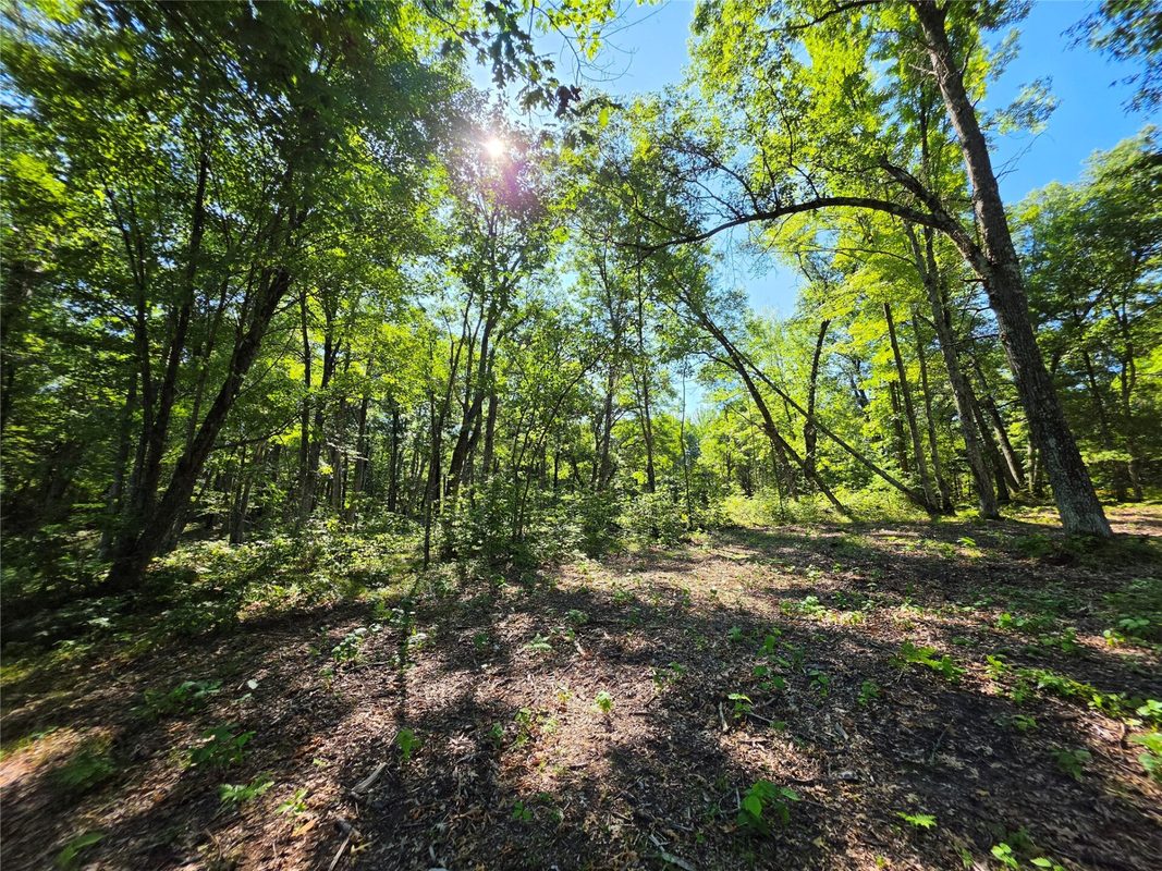 27696 295th (Lot 15) Street, Holcombe WI 54745 - Land house for sale - MLS #1604256 - image9
