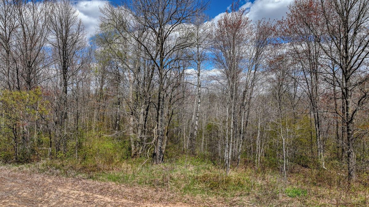 27.6 Acres off Helena Drive, Conrath WI 54731 - Land house for sale - MLS #1605499 - image20