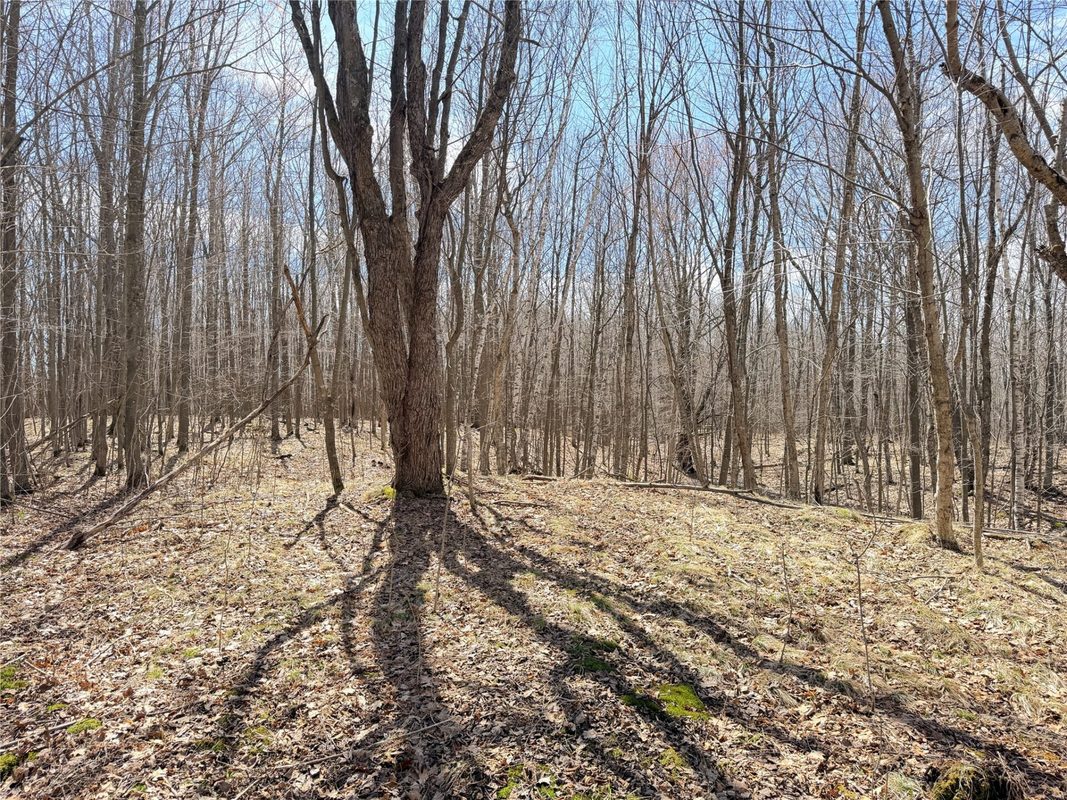 20 Acres Star Lake Road, Rice Lake, WI — photo 26