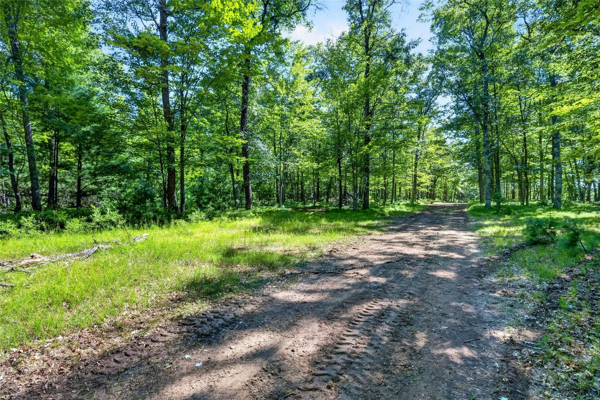 51260 Birch Lake Road, Barnes WI 54873 - Land house for sale - MLS #1603549 - image14