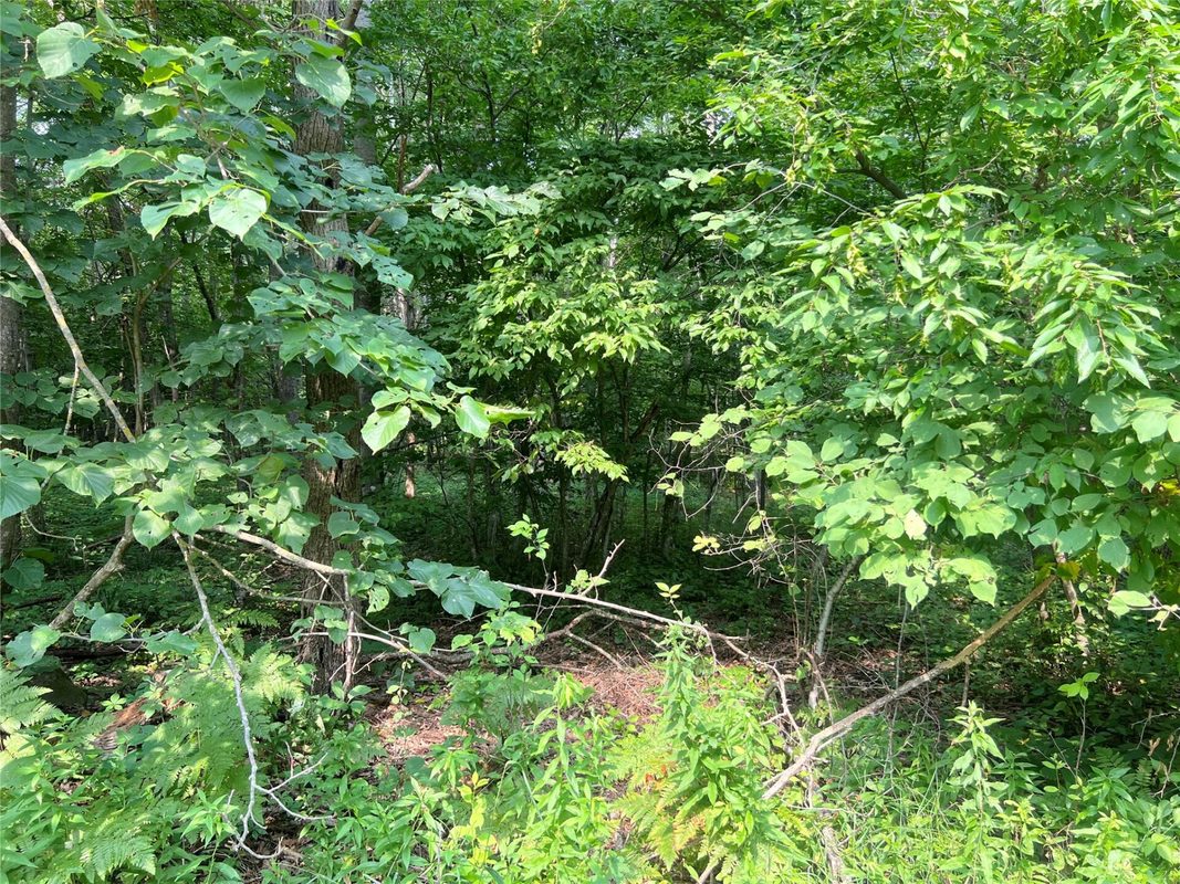 23871 Tollander Road, Siren WI 54872 - Residential house for sale - MLS #1603654 - image42