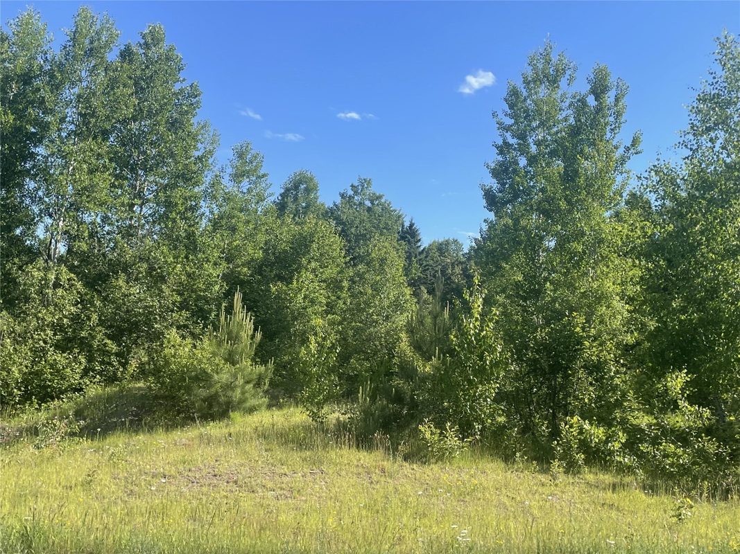 39+/- A on County Highway E, Iron Belt WI 54536 - Land house for sale - MLS #1602959 - image12