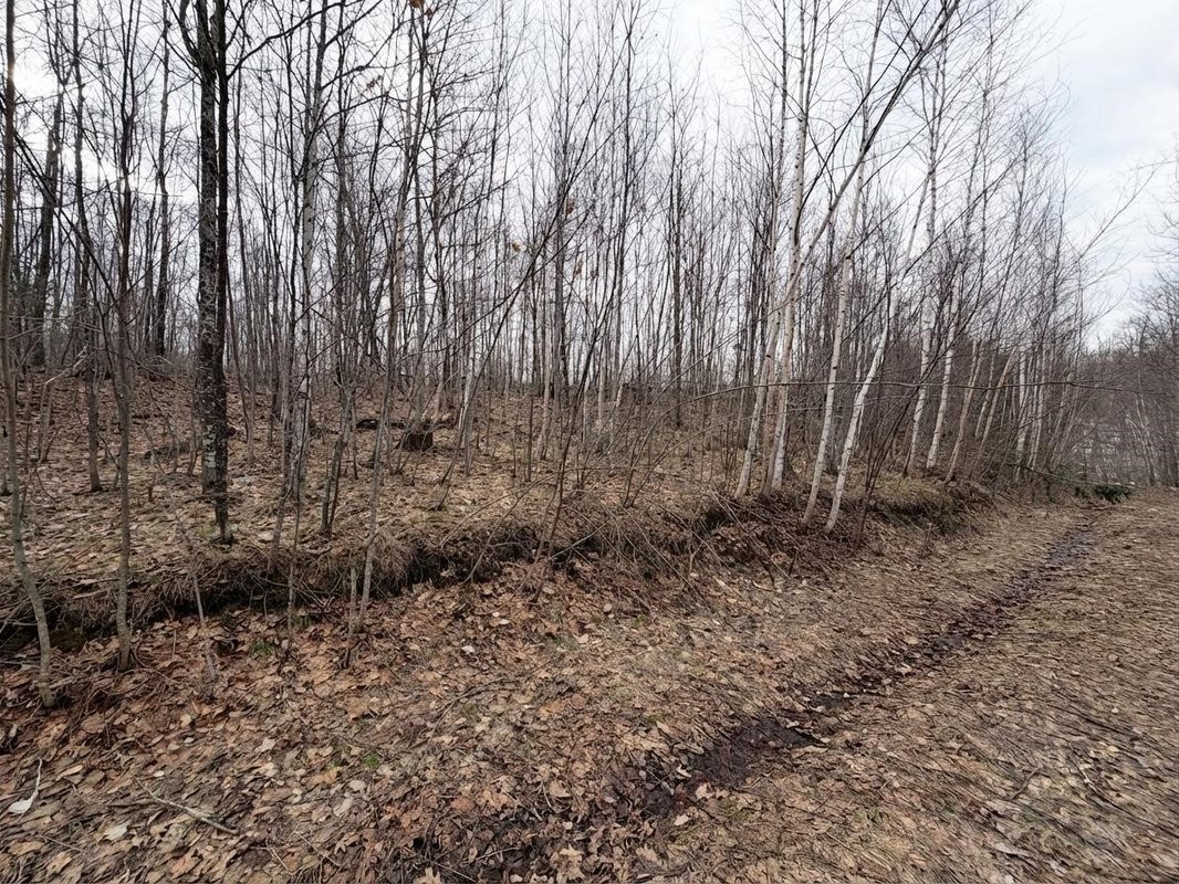 Land at 0 State Highway 48, Birchwood, WI 54817 — photo 7