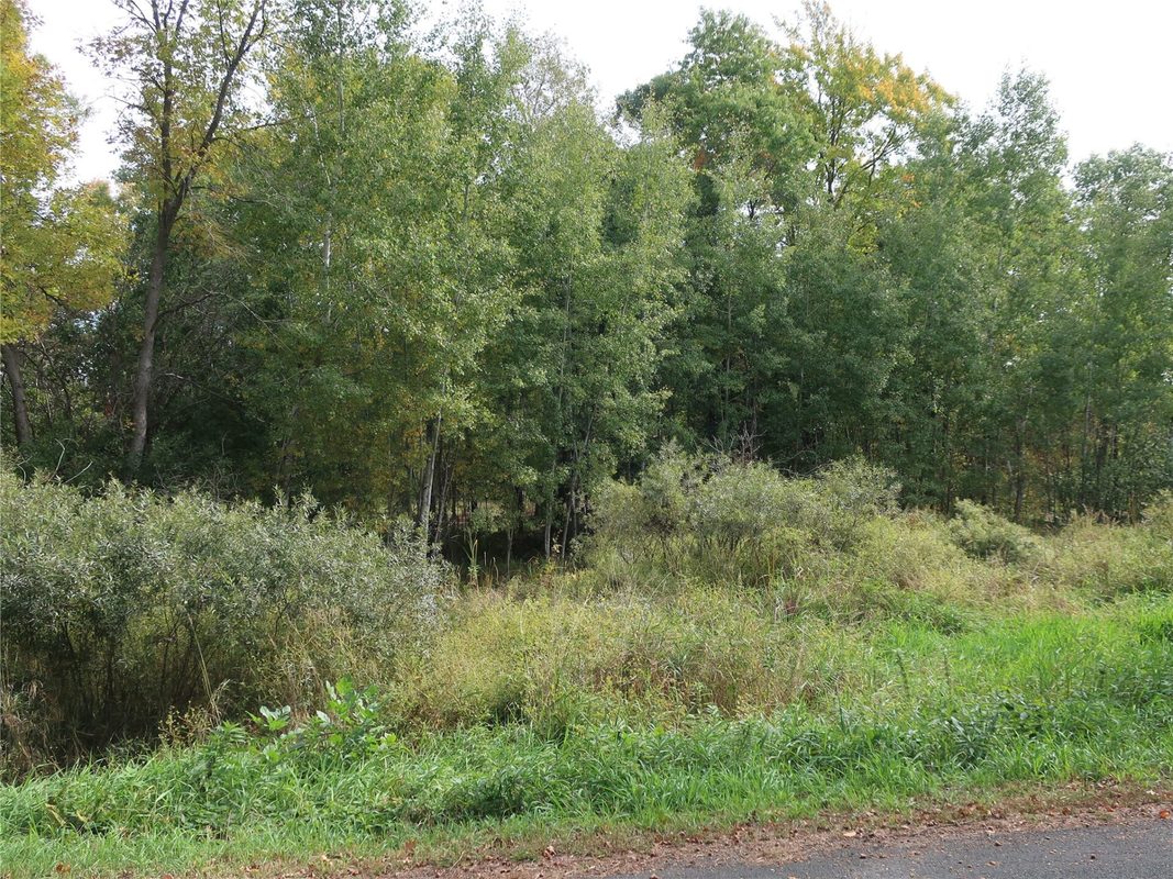 TBD Old 35, Siren WI 54872 - Land house for sale - MLS #1605520 - image9