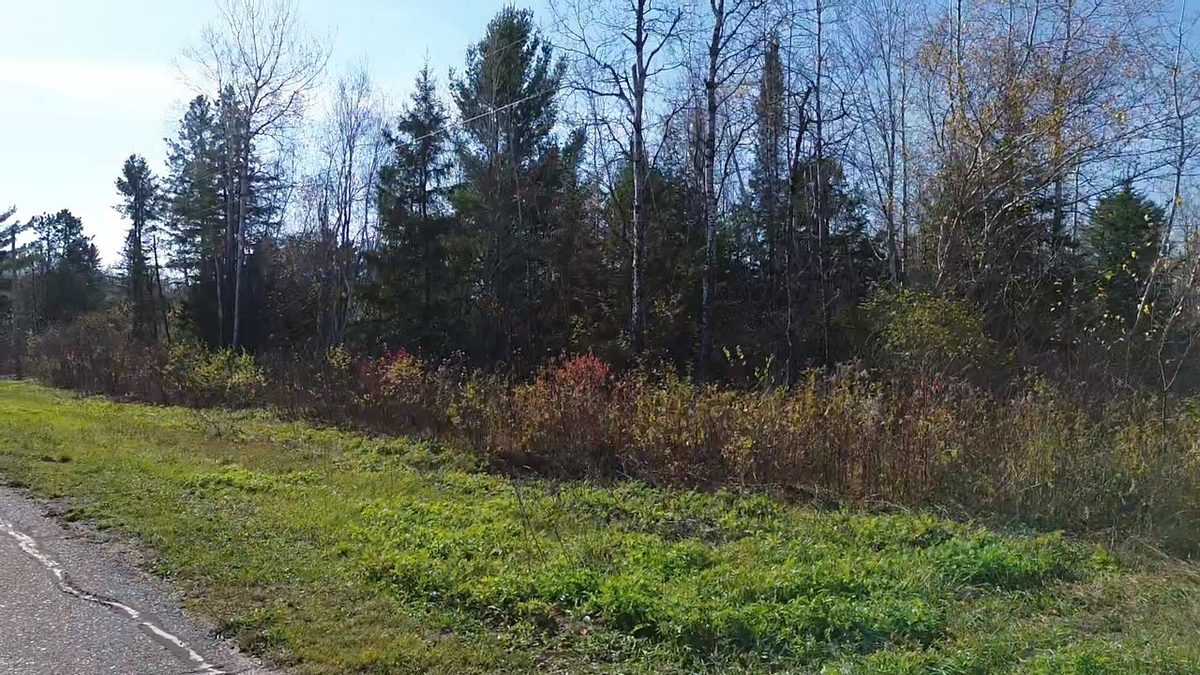 123XX W Jos R Chafer Road, Couderay WI 54828 - Land house for sale - MLS #1606292 - image4