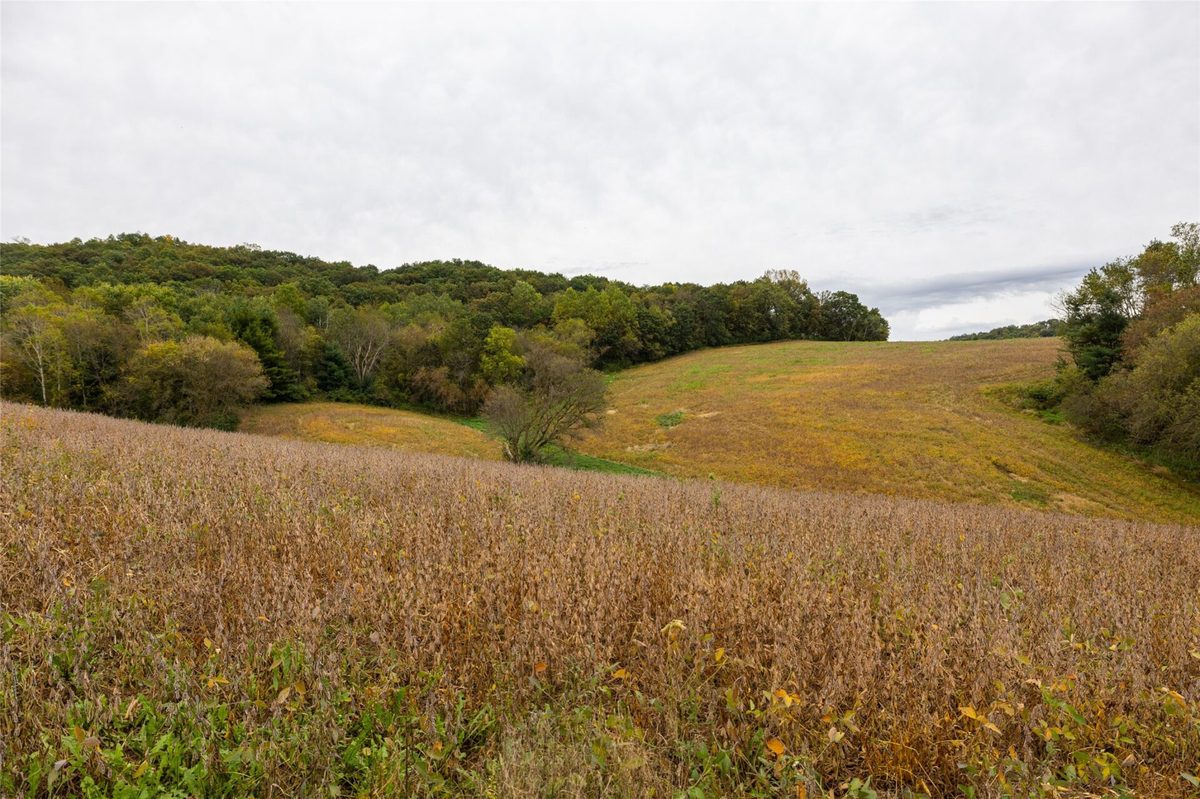 24657 Norway Valley Road  Arcadia WI 54612 - image8